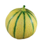 MELON MELYSOL